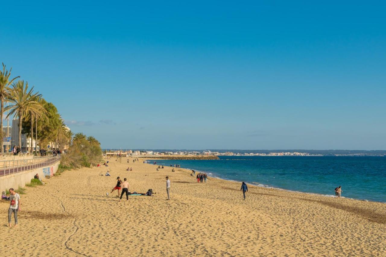 Centric * Palma