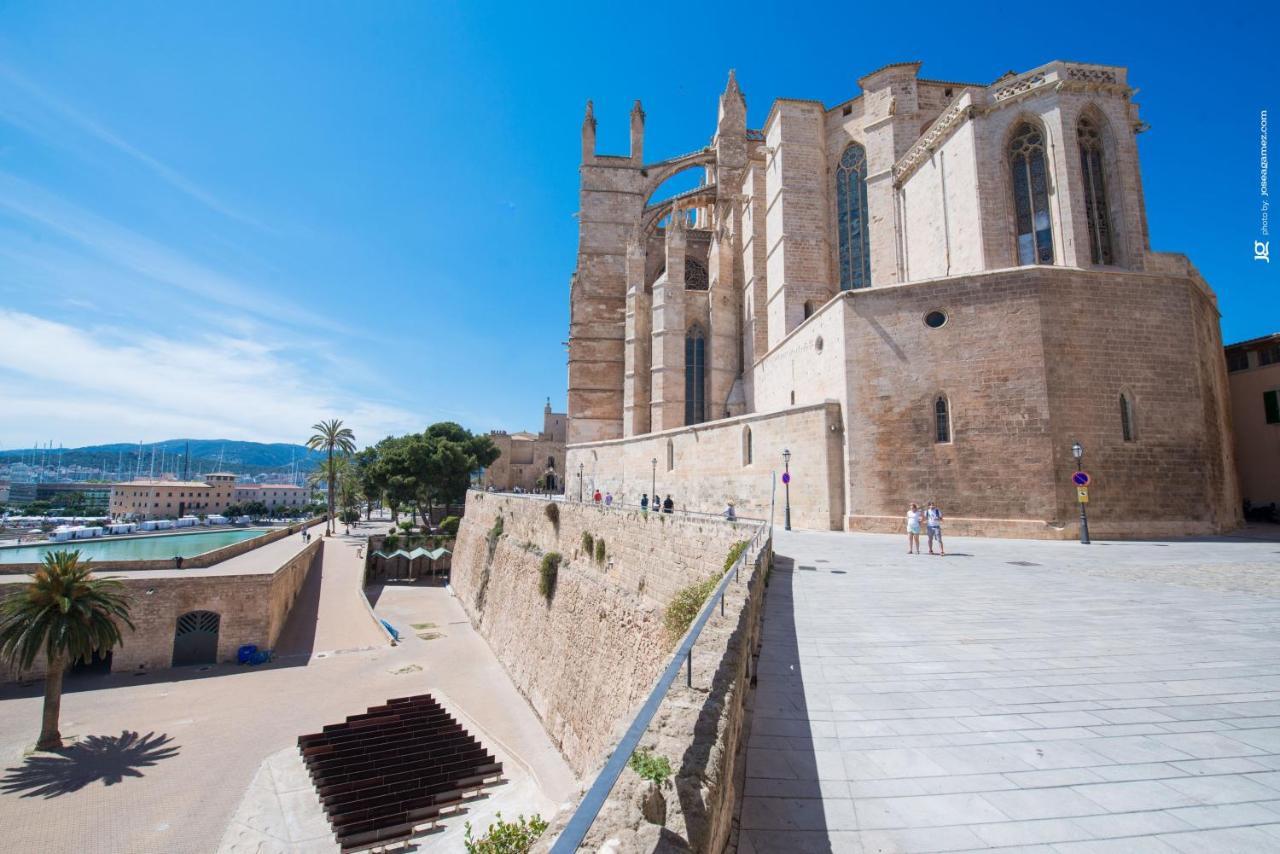 Centric Palma